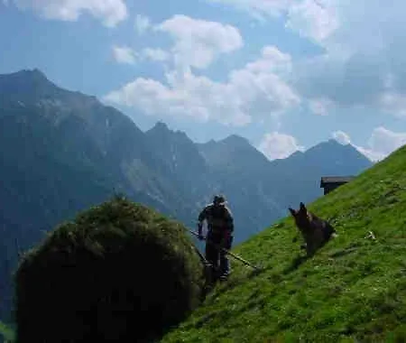 Pfurtschell Lejlighed *