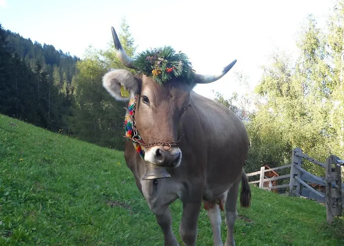 아파트 Pfurtschell