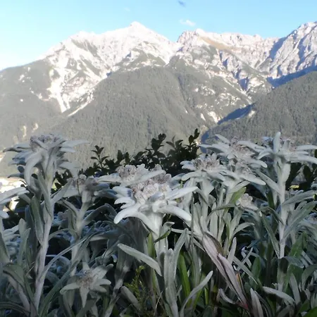 Pfurtschell * 施图拜河谷新施蒂夫特