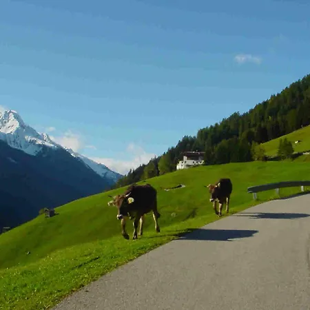 Apartment Pfurtschell